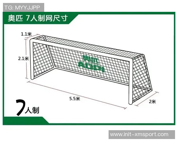 足球门大小对比赛结果的影响及其在不同级别赛事中的标准化探讨